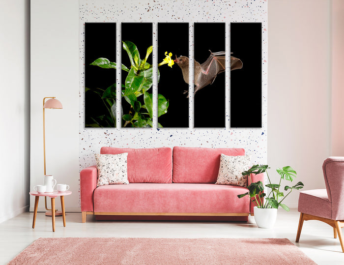 Bat Canvas Print #8042