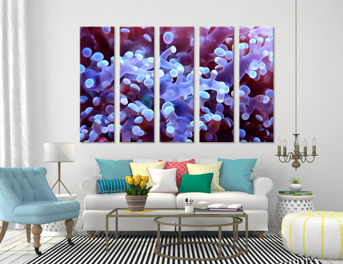 Coral Canvas Print #7044
