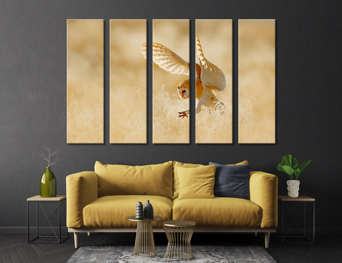 Hunting Owl Canvas Print #8041