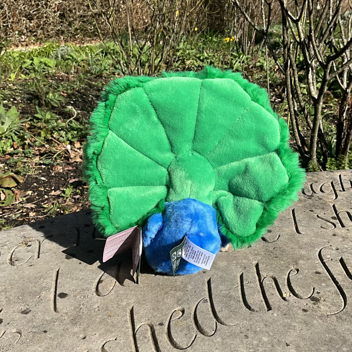 Plush Peacock - NEW