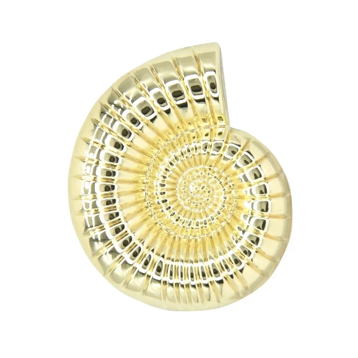 Yellow gold / 34mm(54L) / 4 Buttons