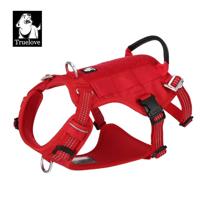 Medium / Red