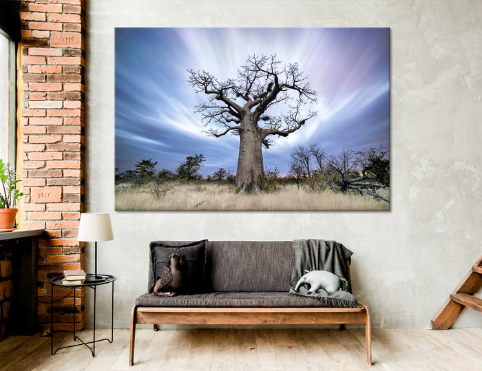 Baobab Canvas Print #7247