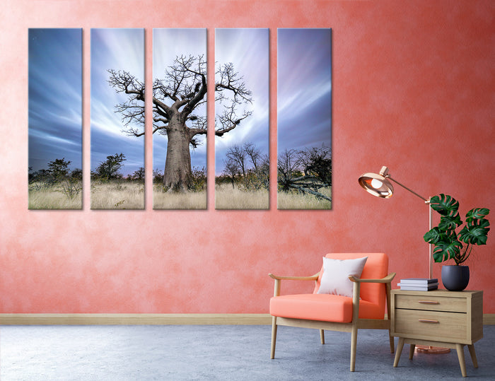 Baobab Canvas Print #7247