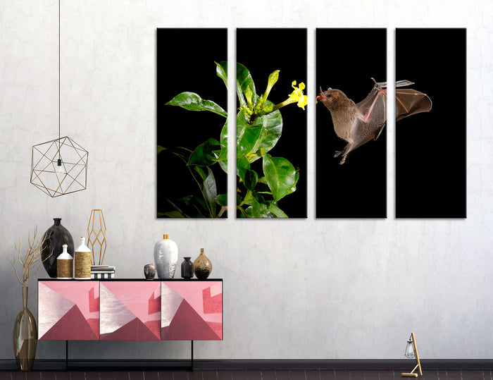 Bat Canvas Print #8042