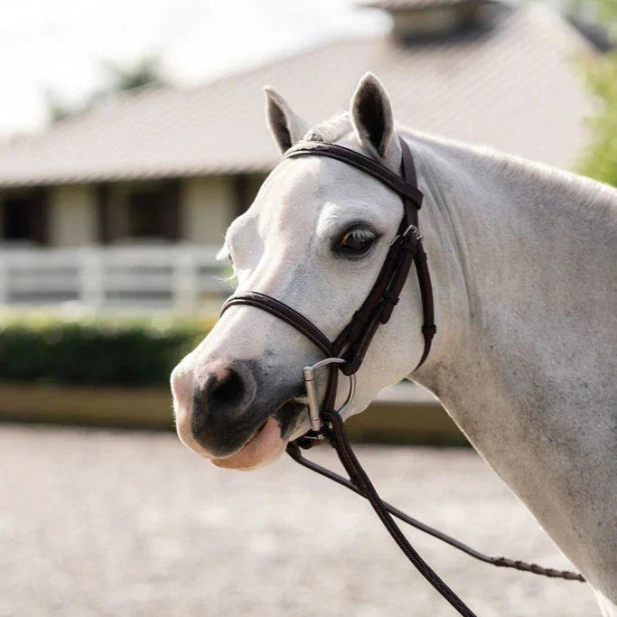 Belle & Bow Farnley Bridle