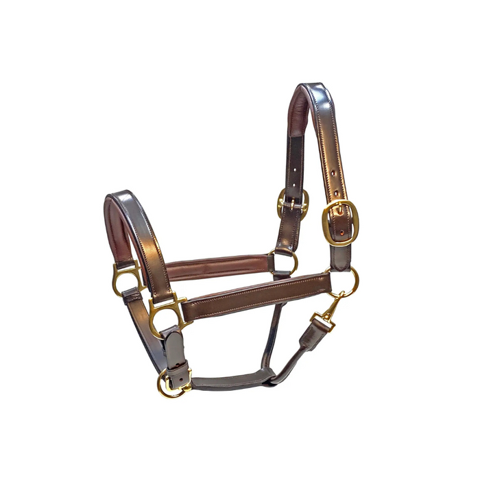 Blakely Deluxe Padded Halter