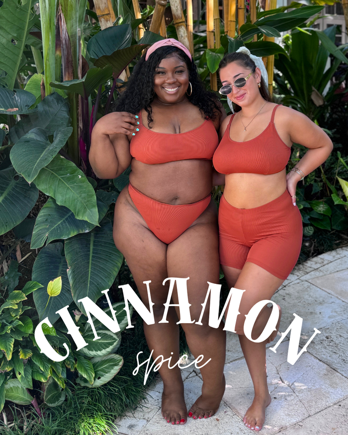Cinnamon Spice Brown Rib High Waist Cheeky Bikini Bottom