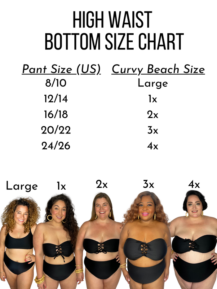 Cinnamon Spice Brown Rib High Waist Cheeky Bikini Bottom