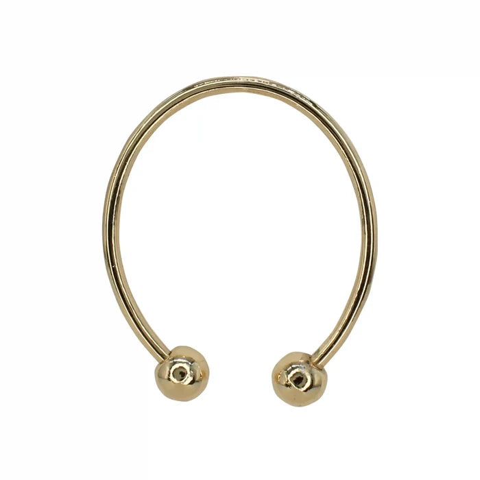 Buy now Ani Accessories Classic Oval  Gold Metal Buckle in the white background to show the reflection of the buckle.