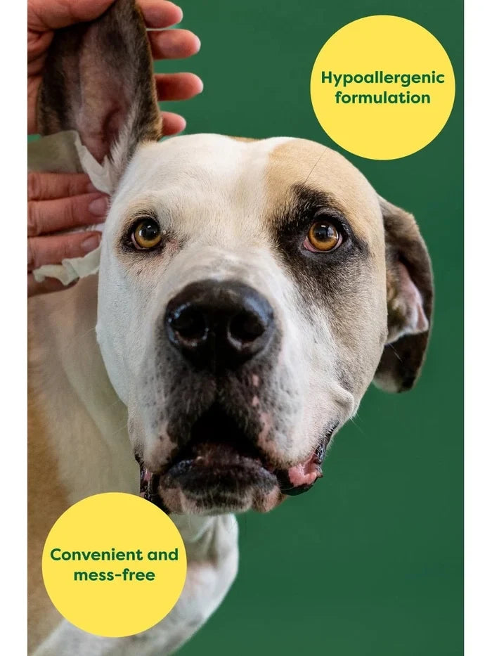 Earth Rated Dog Ear Cleansing Wipes 60ct - Dog.Dog.Cat.