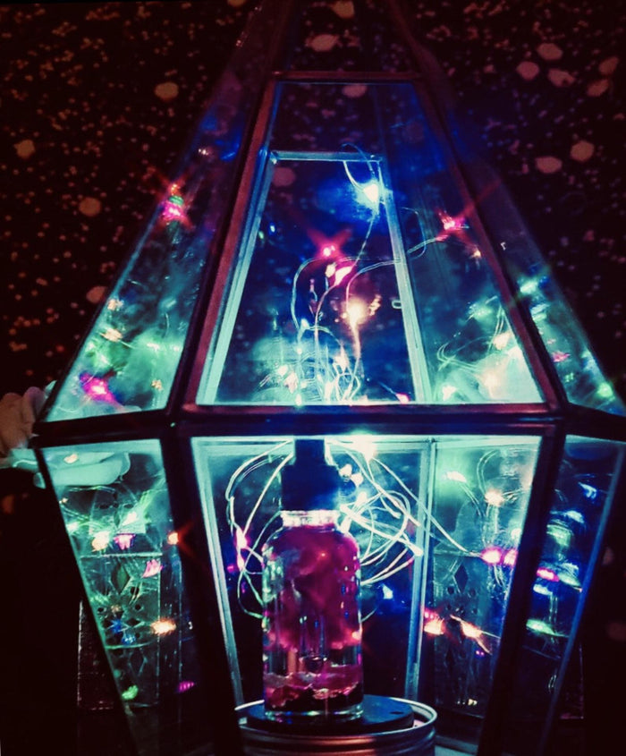 extreme attraction potion