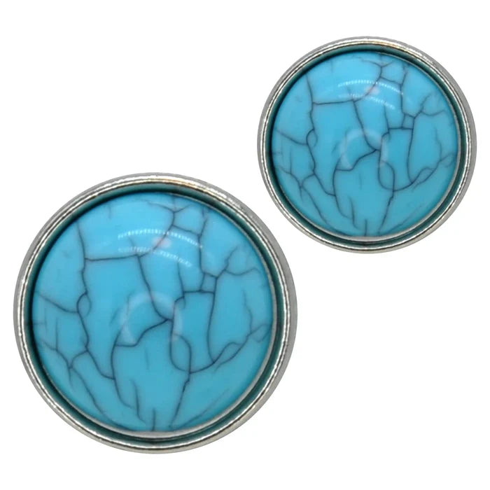 Feroza Turquoise Stone Button | 13mm(20L) & 15mm(24L)