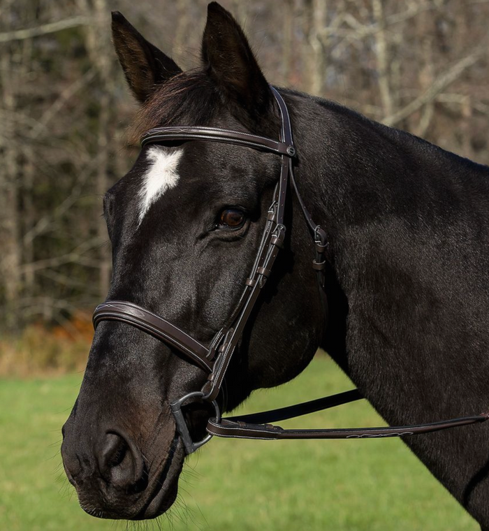 Henri de Rivel Pro Mono Crown Fancy Stitched Padded Bridle