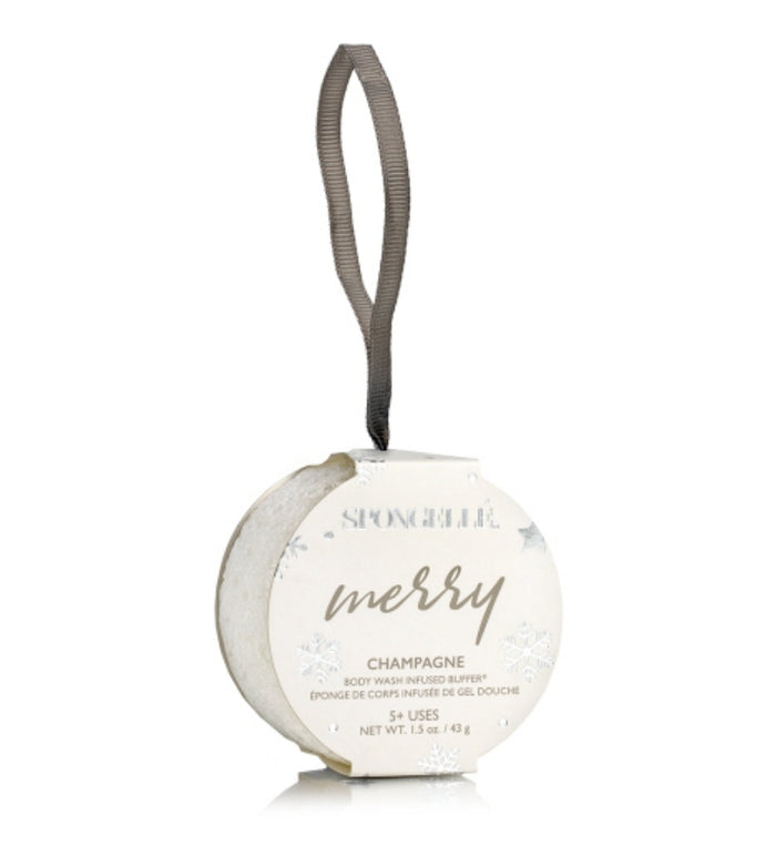 Holiday Cheer Holiday Ornament Gift Set