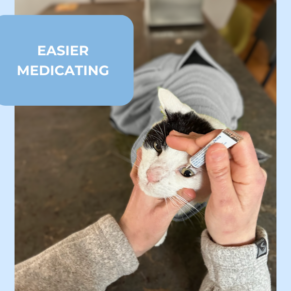 Home Cat Wrap