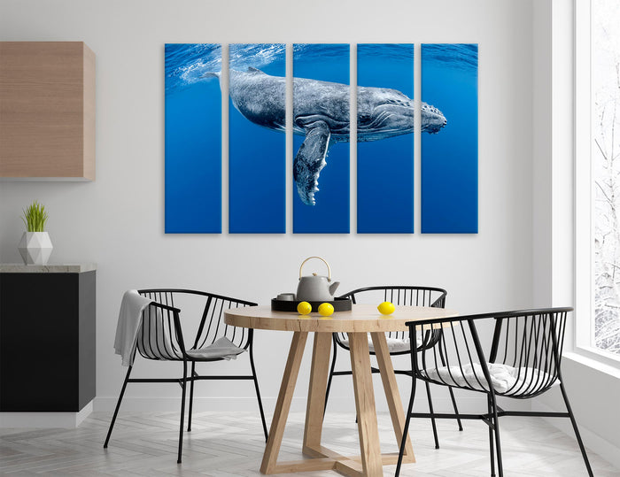 Humpback Whale Canvas Print #8207