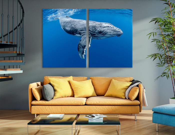 Humpback Whale Canvas Print #8207