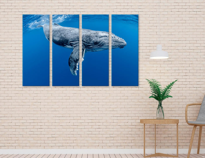 Humpback Whale Canvas Print #8207