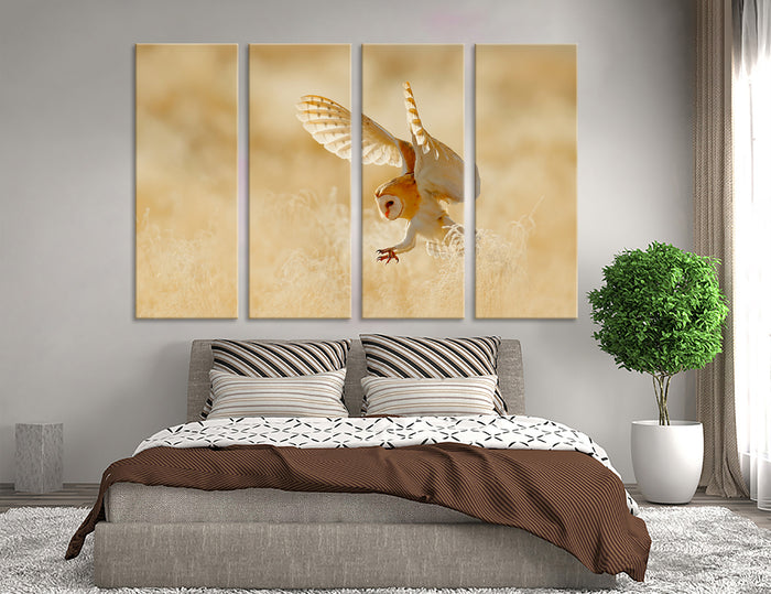 Hunting Owl Canvas Print #8041