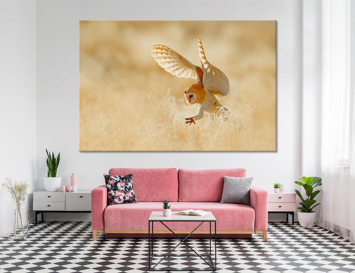 Hunting Owl Canvas Print #8041