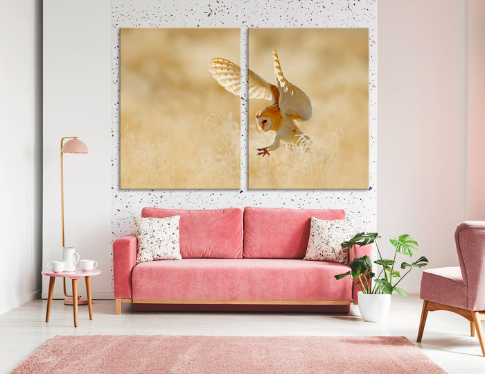 Hunting Owl Canvas Print #8041