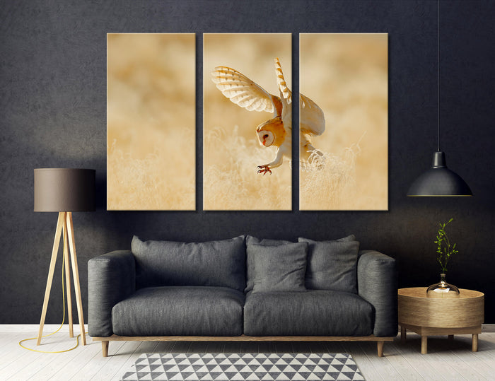 Hunting Owl Canvas Print #8041