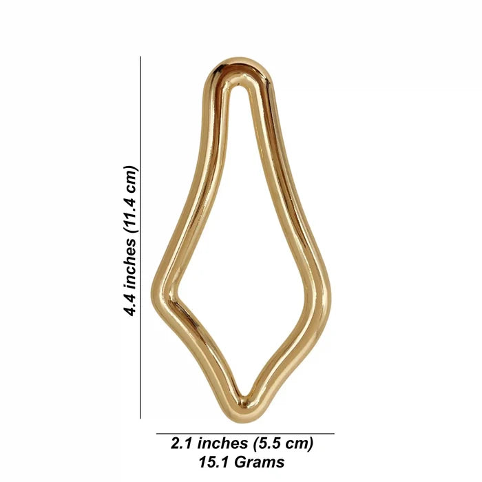 Irregular Shape Metal Buckle