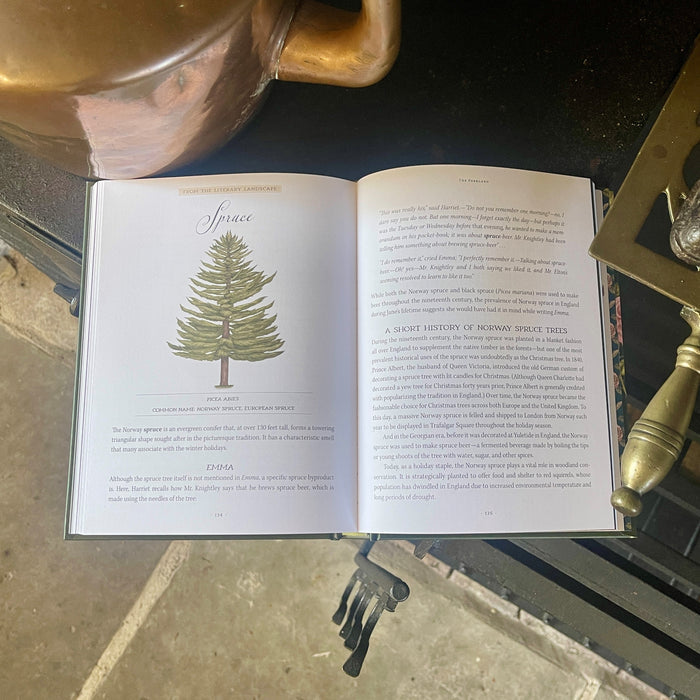 Jane Austen's Garden by Molly Williams, illustrations by Jessica Roux (HB)