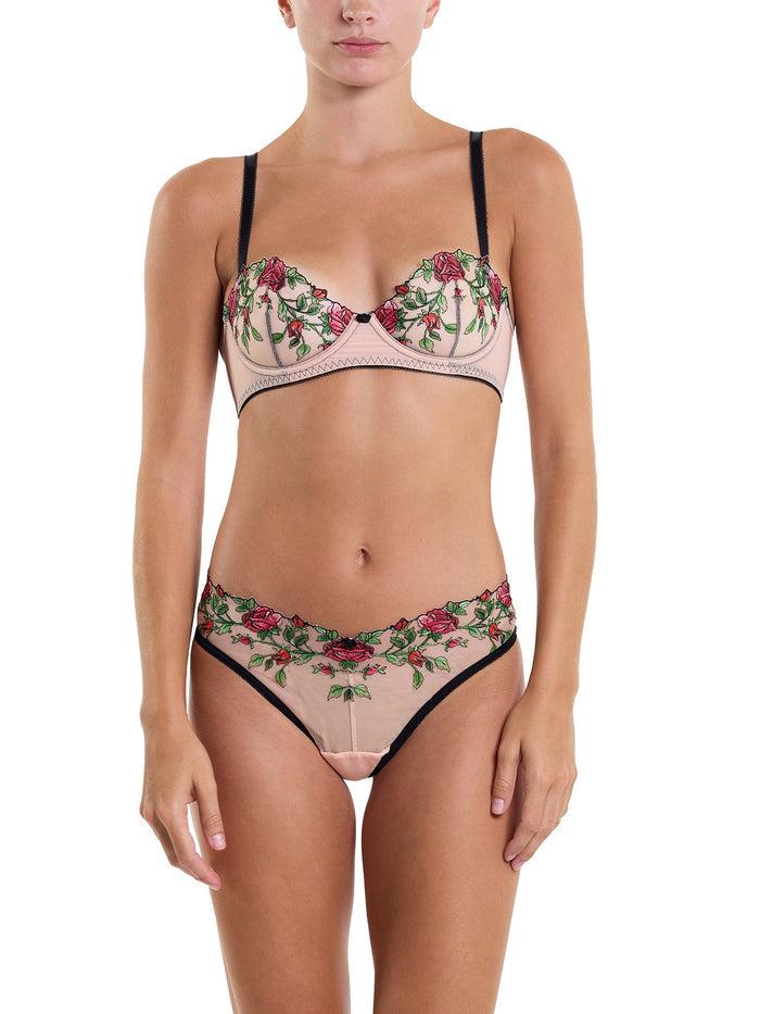 Kiss From A Rose Balconette Bra & Matching Brief Set - Rose Embroidered Mesh Lingerie Set Front View | Hanky Panky