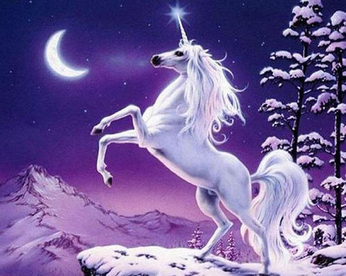 Legend of the Unicorns Paint by Numbers