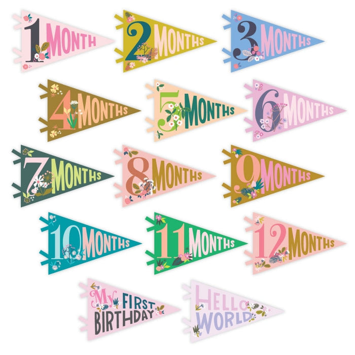 Little Artist Petit Milestone Pennants - Babies in Bloom