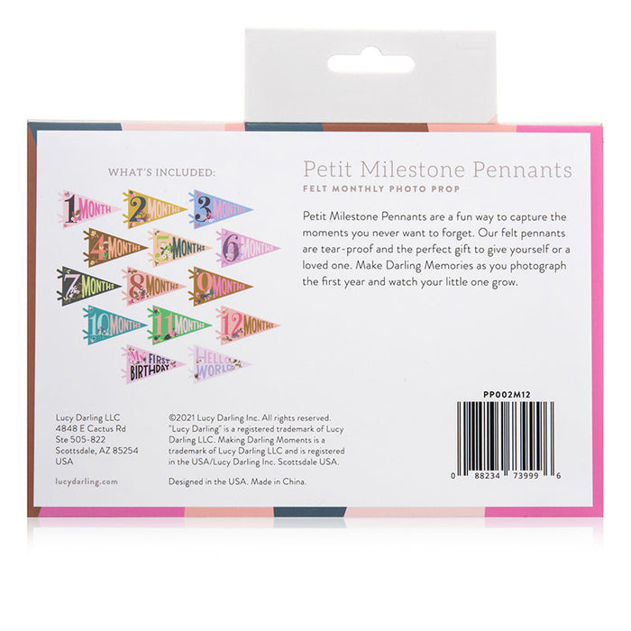 Little Artist Petit Milestone Pennants - Babies in Bloom