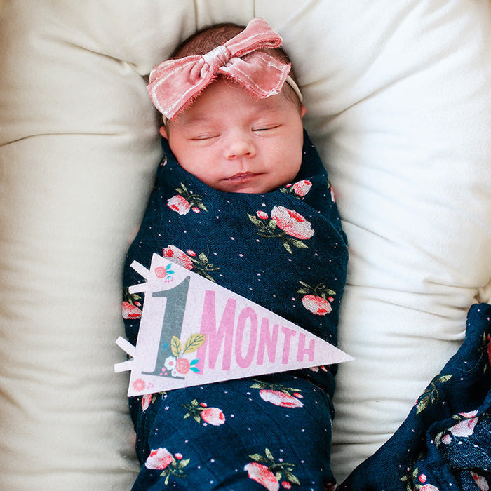 Little Artist Petit Milestone Pennants - Babies in Bloom