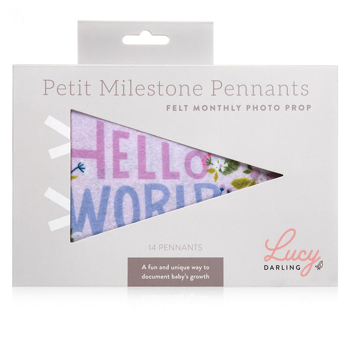 Little Artist Petit Milestone Pennants - Babies in Bloom