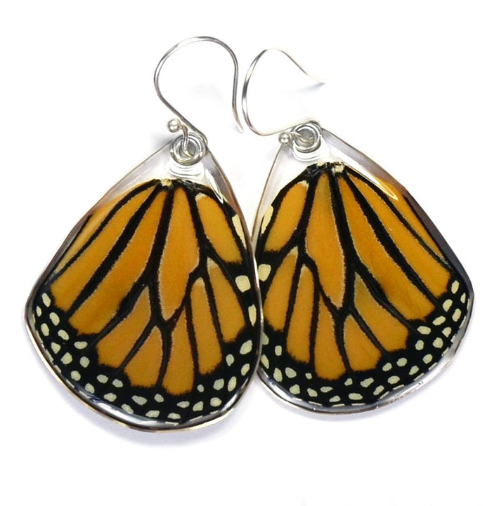 Monarch Butterly Earrings
