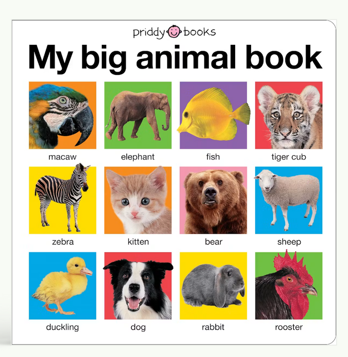 My Big Animal Book