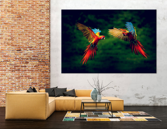 Parrots Canvas Print #8051