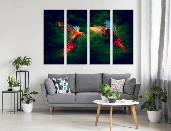 Parrots Canvas Print #8051