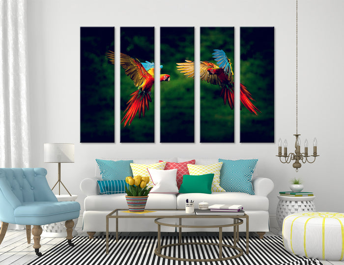 Parrots Canvas Print #8051