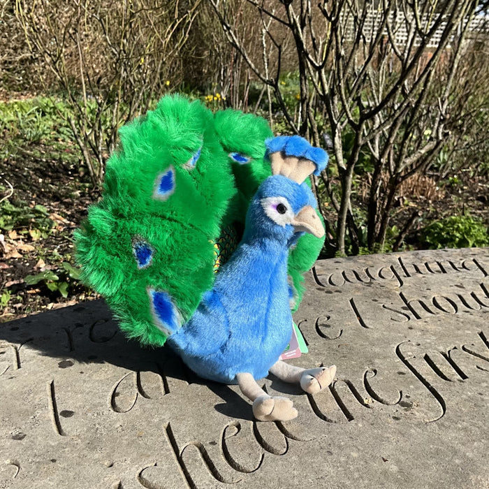 Plush Peacock - NEW