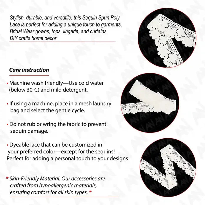 Point de Gaze Design Lace Trim | 2 Meter