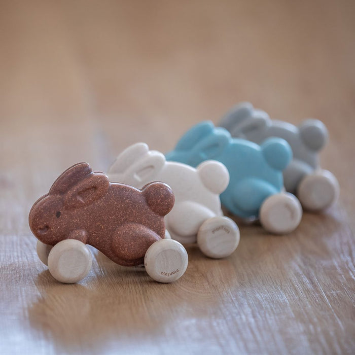 Push Along Bunny - Brown - Babies in Bloom