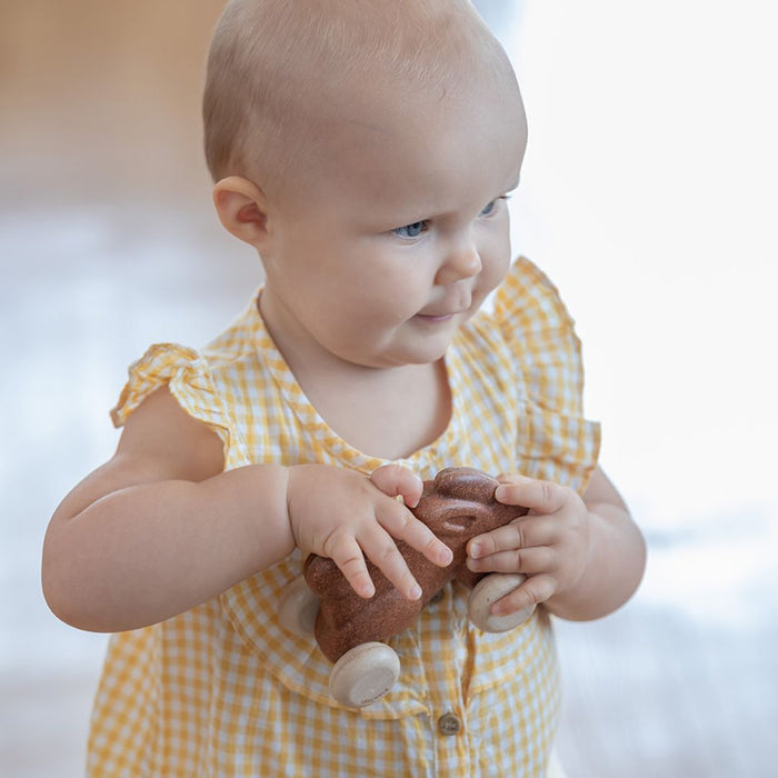 Push Along Bunny - Brown - Babies in Bloom