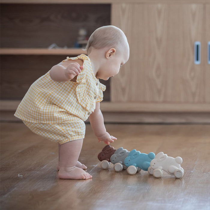 Push Along Bunny - Brown - Babies in Bloom