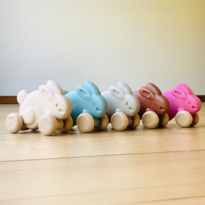 Push Along Bunny - Grey - Babies in Bloom