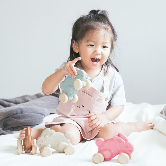 Push Along Bunny - Grey - Babies in Bloom