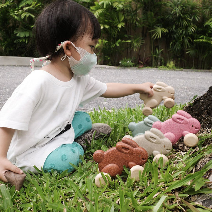 Push Along Bunny - Grey - Babies in Bloom