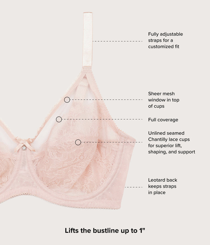 Retro Chic Full Figure Underwire Bra Rose Dust