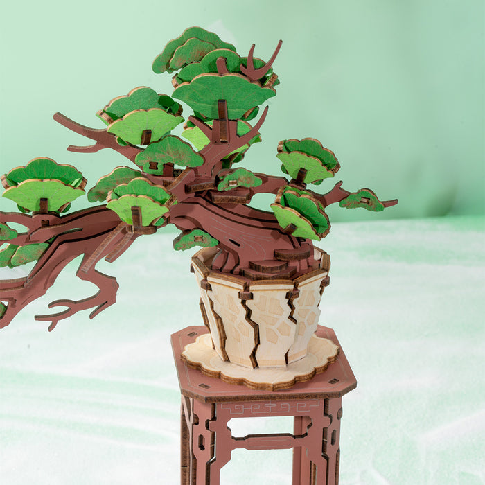 Rolife Evergreen Pine Bonsai TG510 close-up showing green leaf clusters and brown trunk on woven wooden pot stand